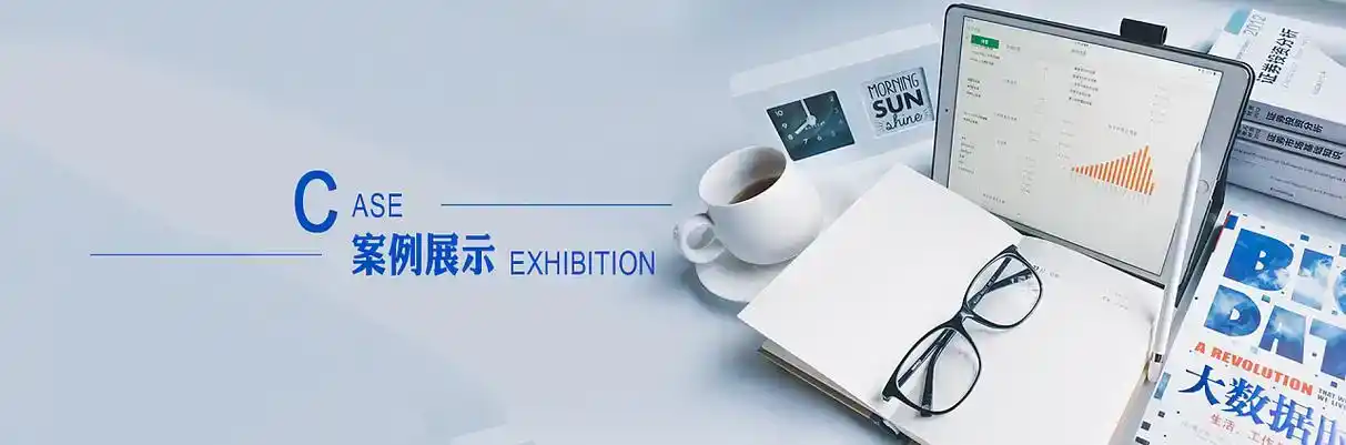 沙坡头区软件开发